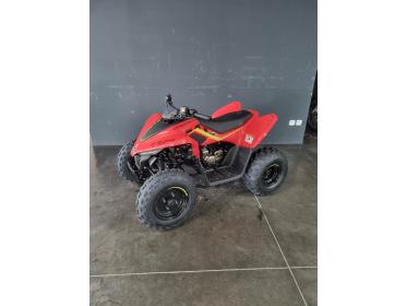 CF MOTO CFORCE 110 basic